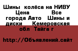 Шины, колёса на НИВУ › Цена ­ 8 000 - Все города Авто » Шины и диски   . Кемеровская обл.,Тайга г.